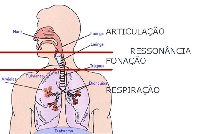 Fonética e Fonologia do Português